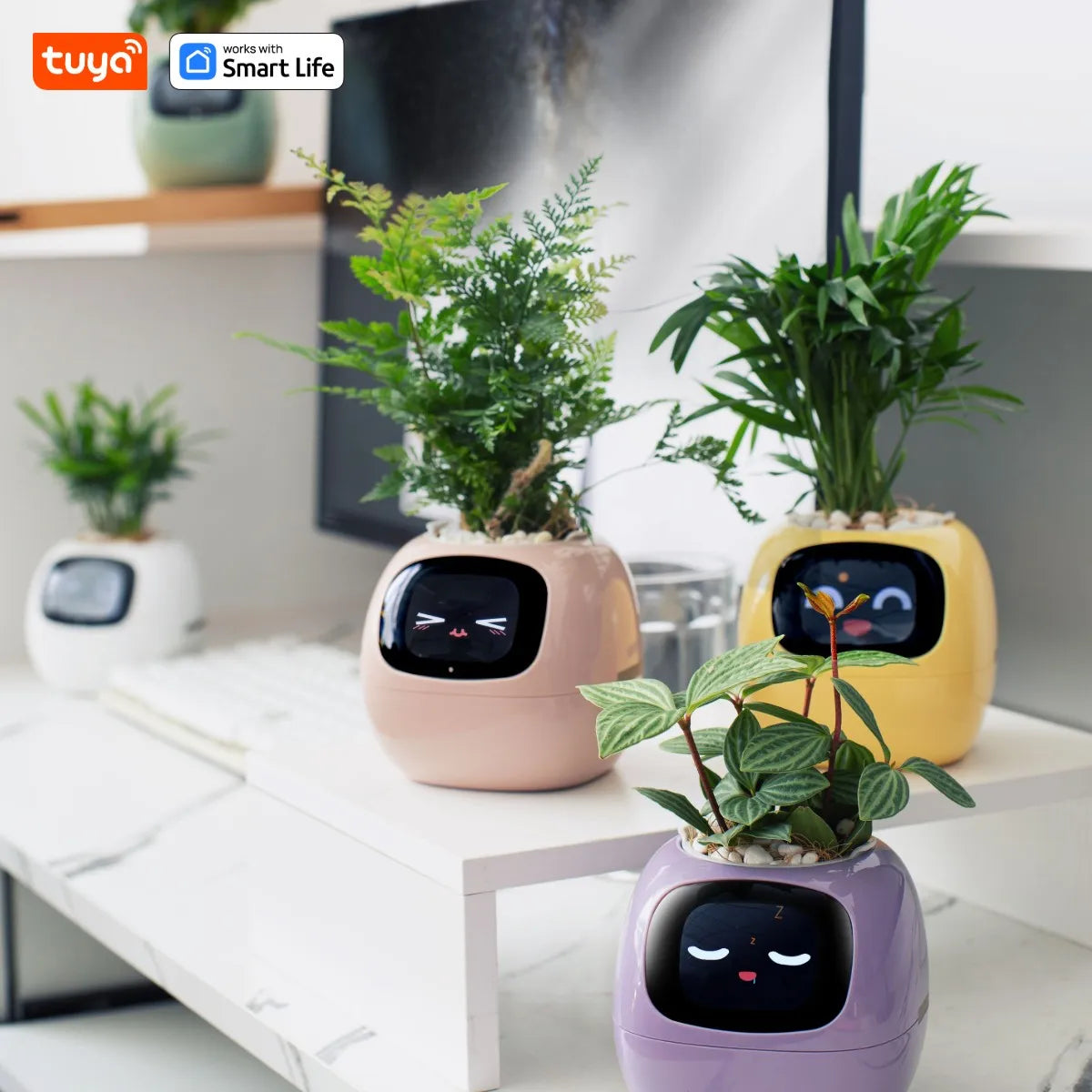 Ivy Smart Planter