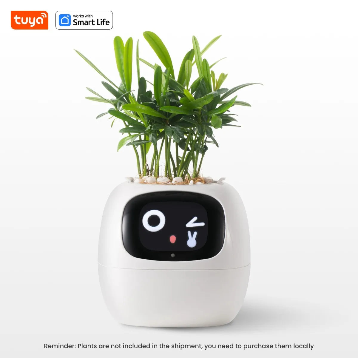 Ivy Smart Planter