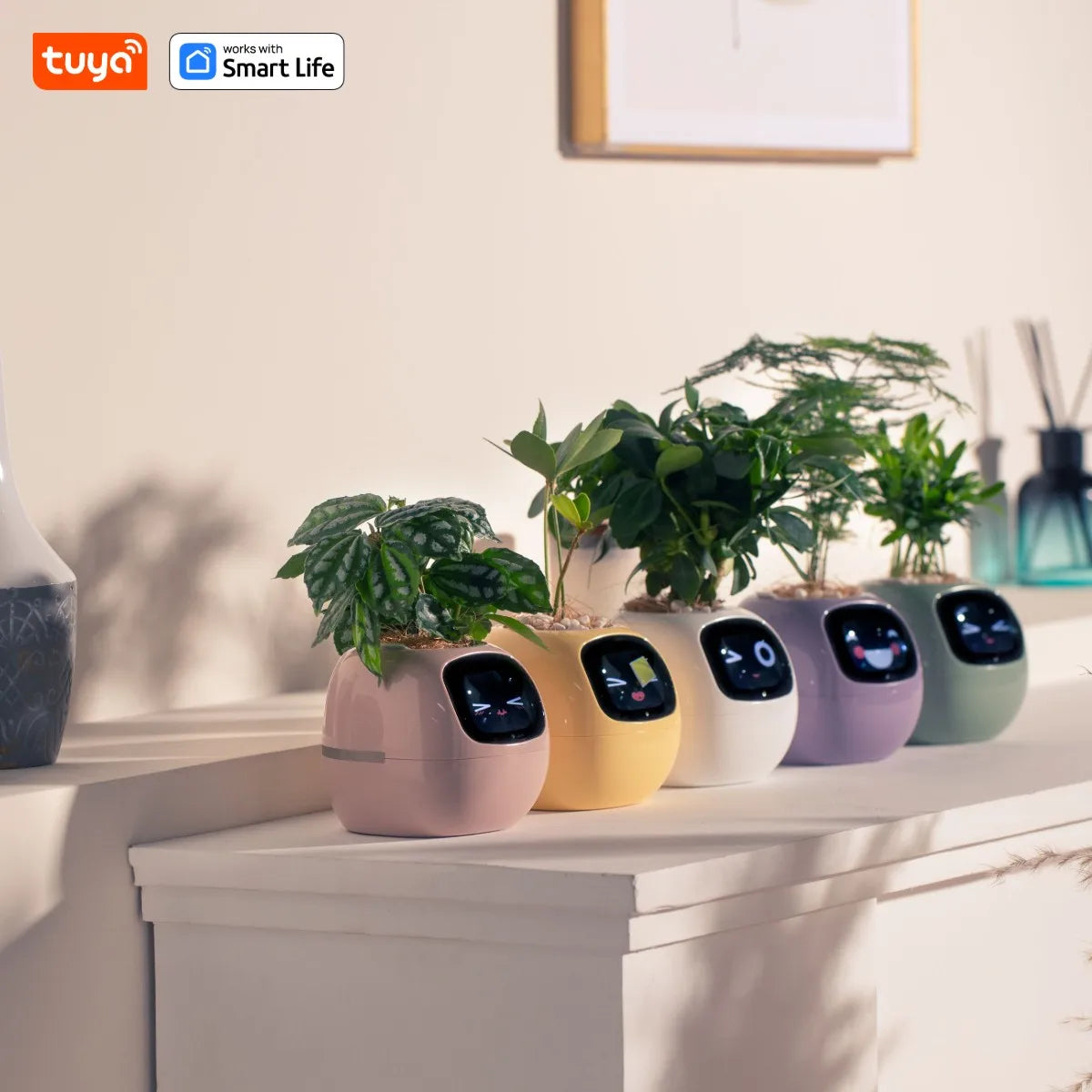 Ivy Smart Planter