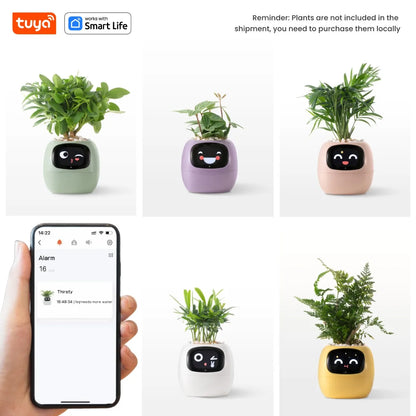 Ivy Smart Planter