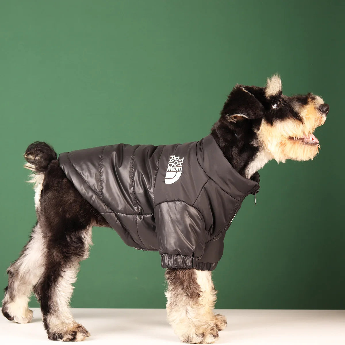 Winter Reflective Dog Jacket