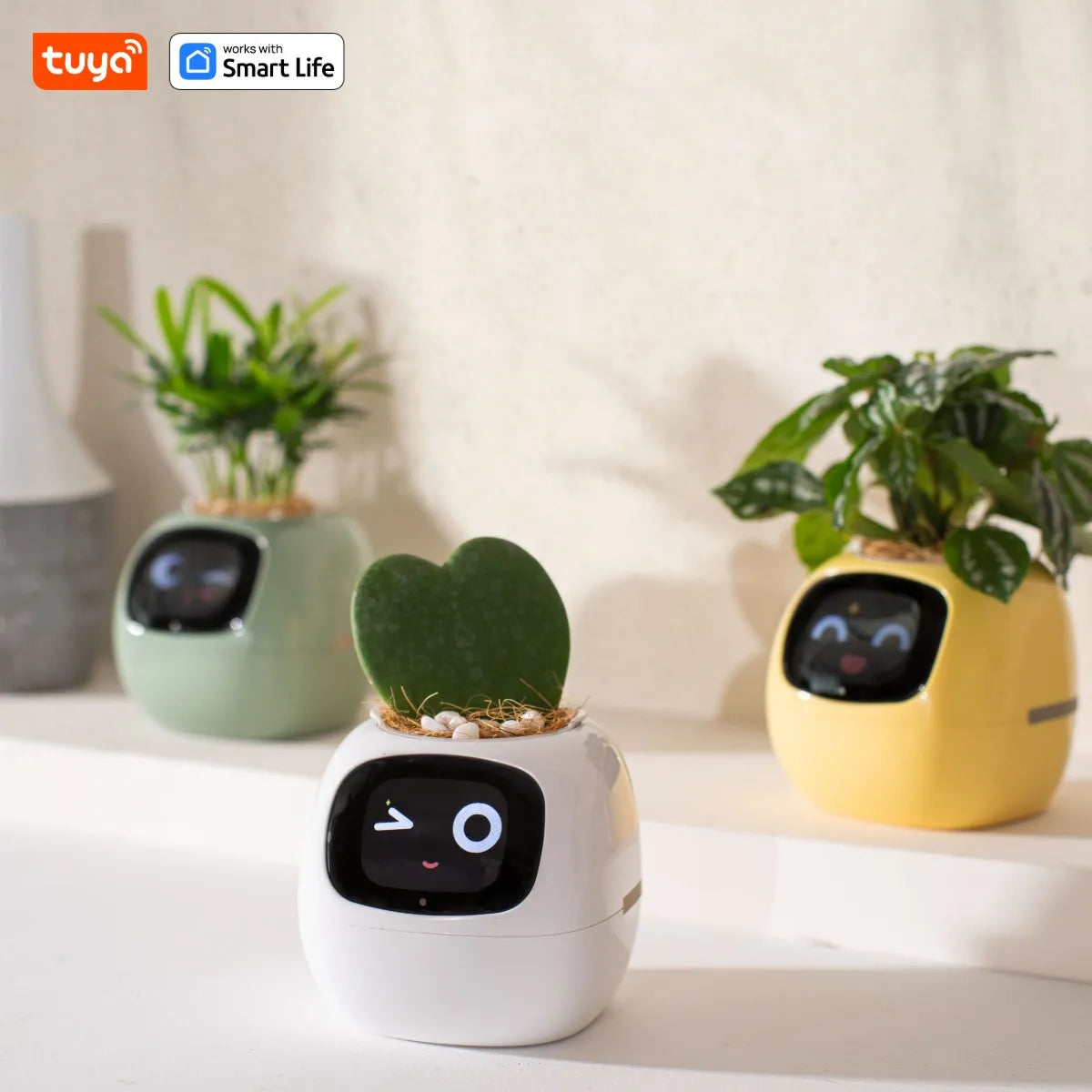 Ivy Smart Planter