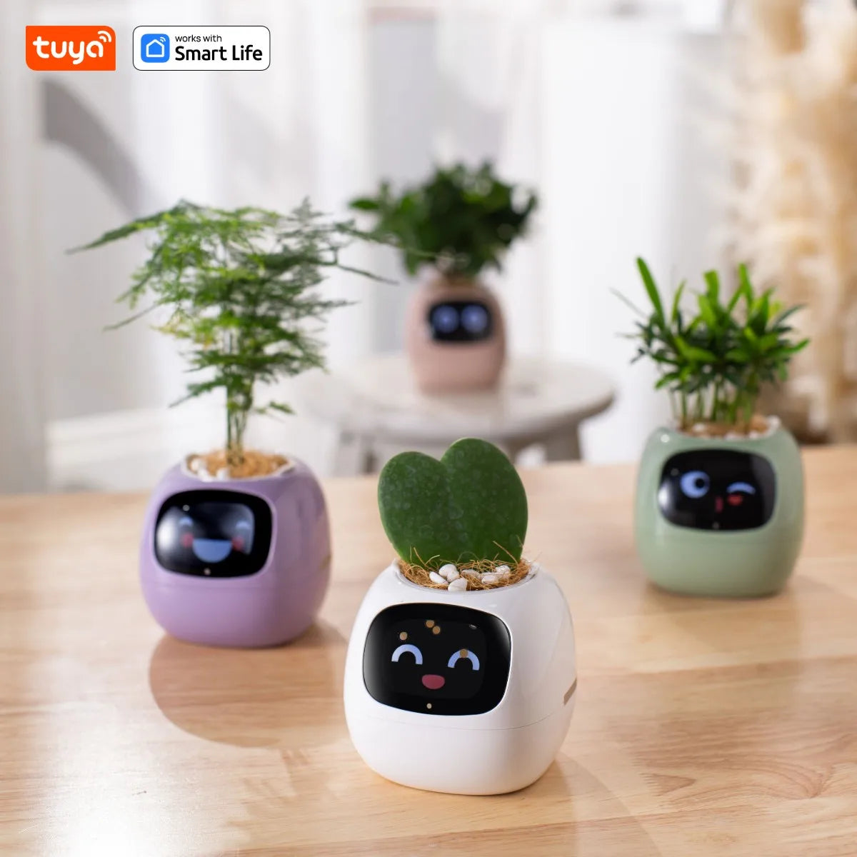 Ivy Smart Planter