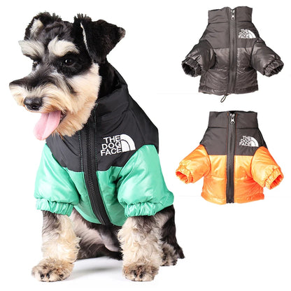 Winter Reflective Dog Jacket